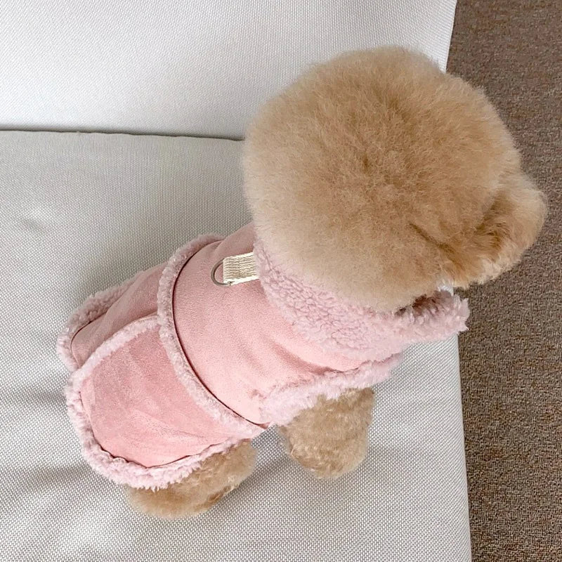 Wool Warm Pet