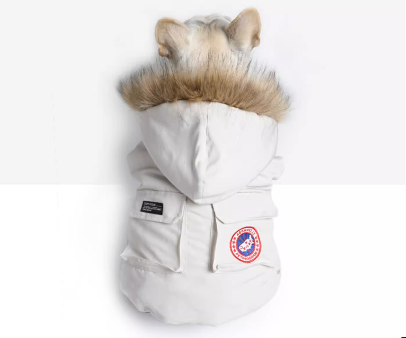 Jacket with fur