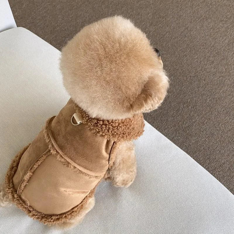 Wool Warm Pet