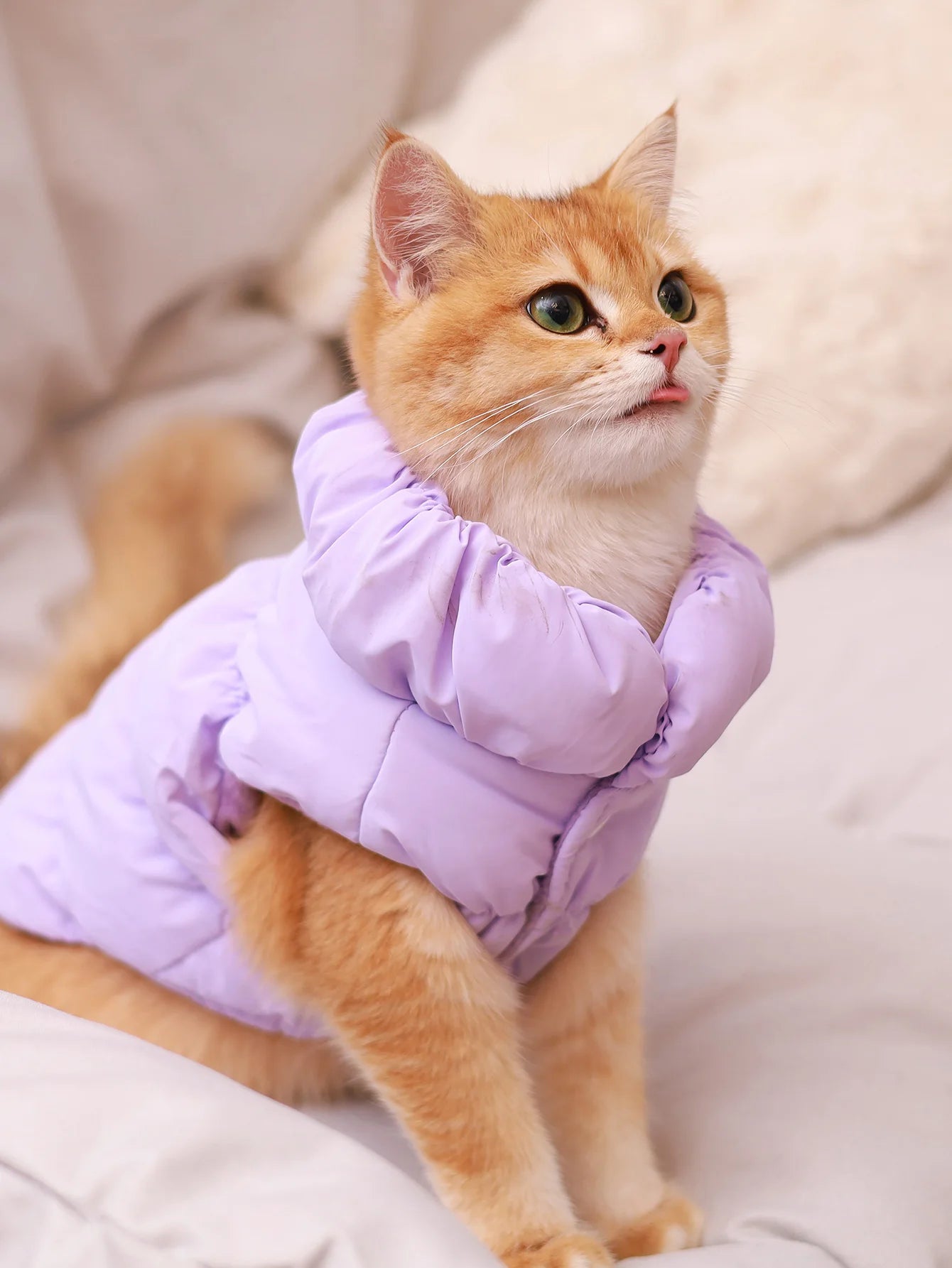puffer Jacket