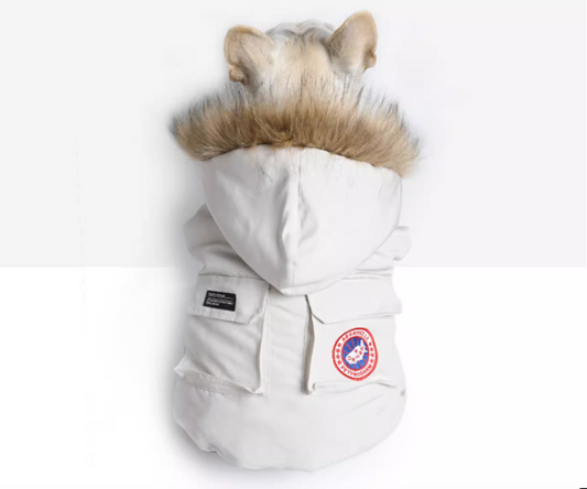 Jacket with fur