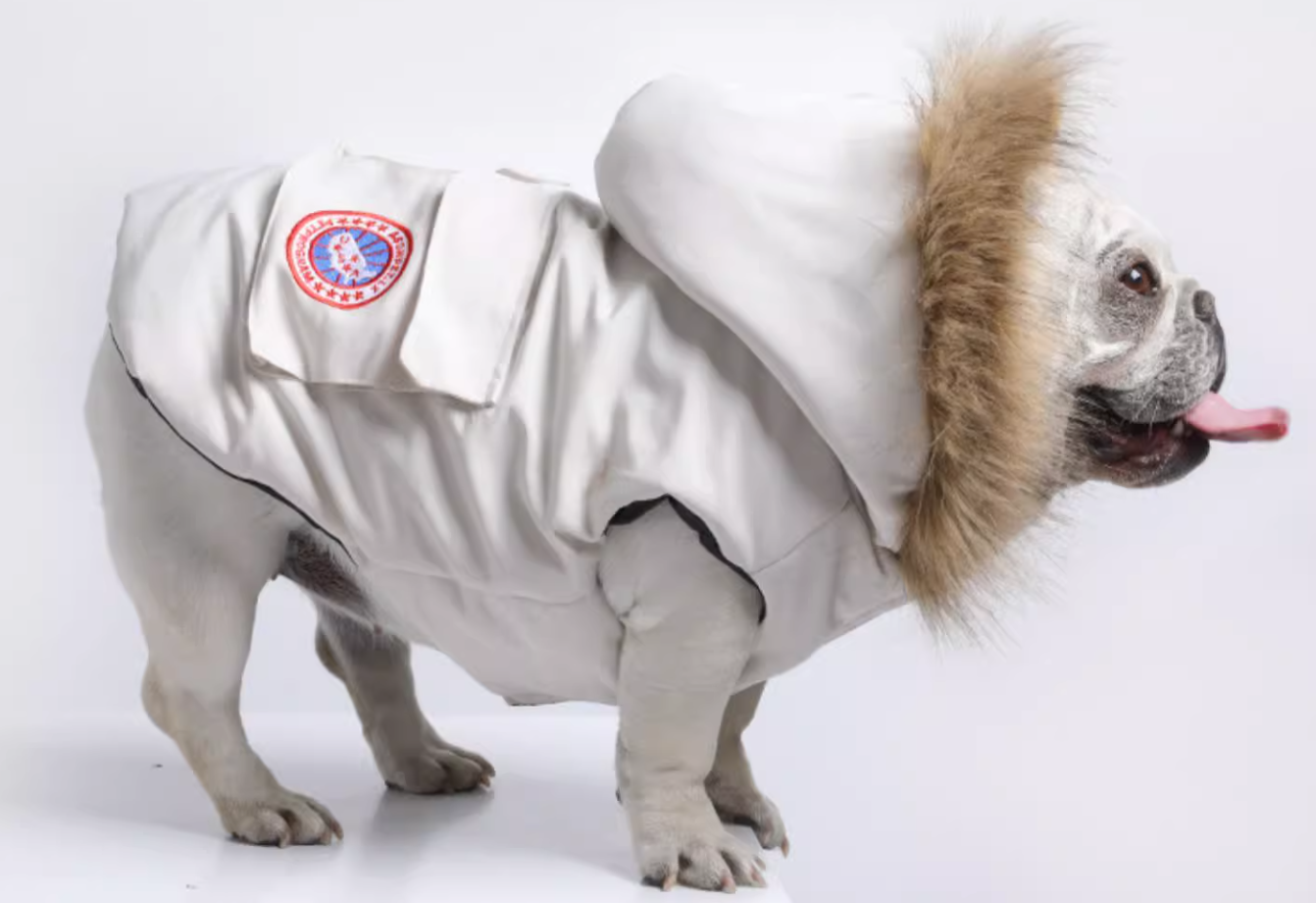 Jacket with fur